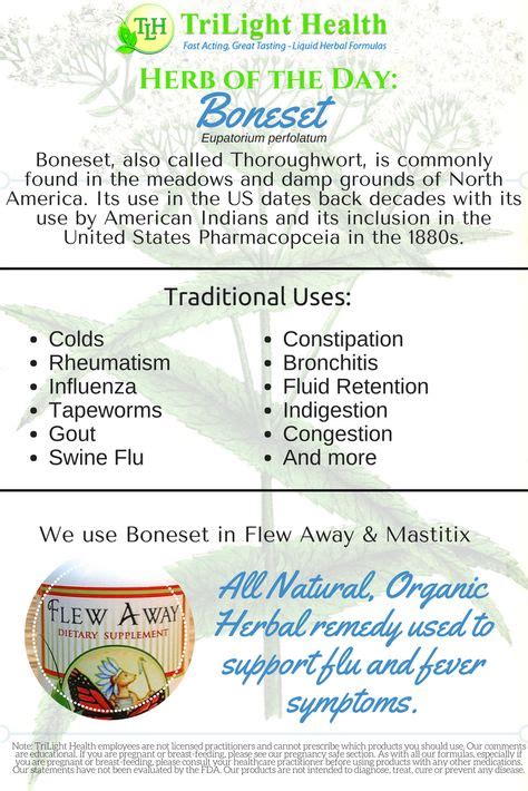 Boneset has a wide range of uses by herbalists in North America and worldwide Learn more about ...