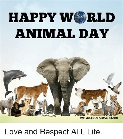 World Animal Day 2019: History, Significance and How to celebrate ...