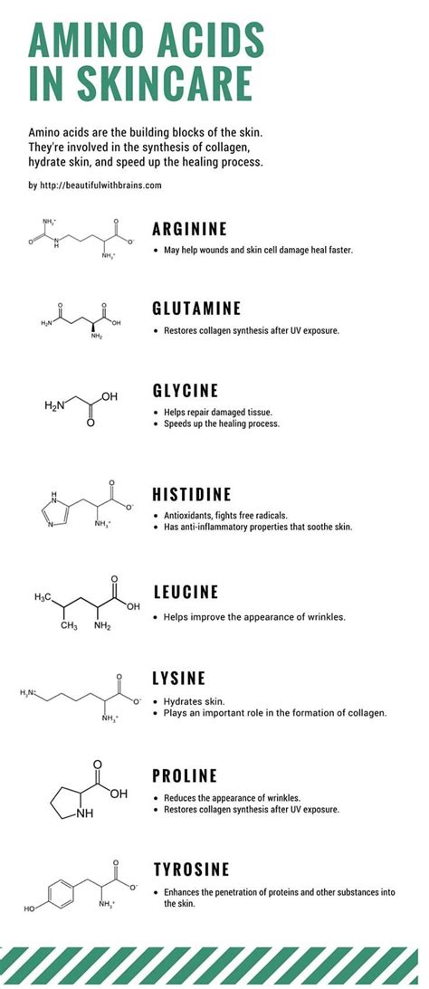 Amino acids are vital to skin's health. They're the building blocks of your skin and help ...