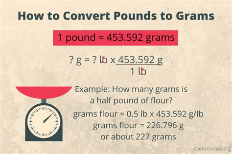 How to Convert Pounds to Grams (lb to g)