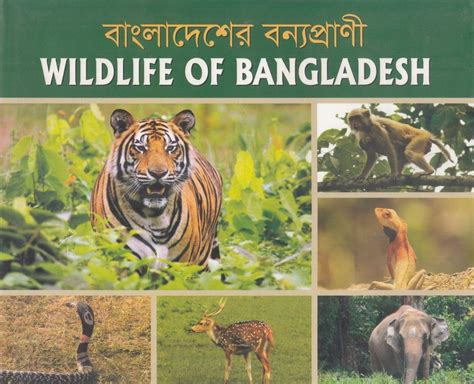 Wildlife of Bangladesh | NHBS Bookstore