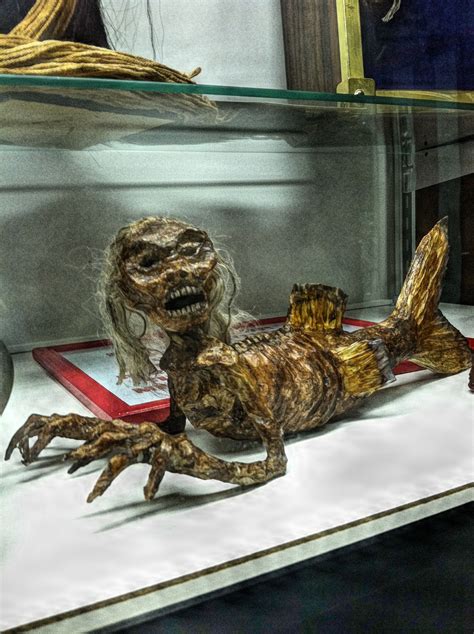 #fiji mermaid at CW Parker Carousel Museum | Weird creatures, Real mermaids found alive, Real ...