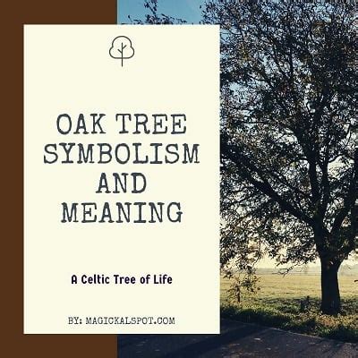 Oak Tree Symbolism and Meaning [A Celtic Tree of Life]