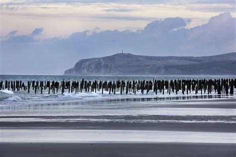 Mussel culture Cap Gris Nez beach North Sea CUte dOpale