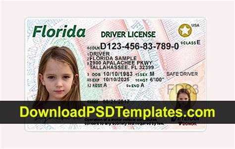 Florida Id Template Photoshop