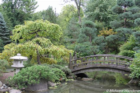 A Stroll Through Anderson Japanese Gardens