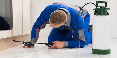 Home Pest Inspection, Winston-Salem, NC - Brown Pest Control