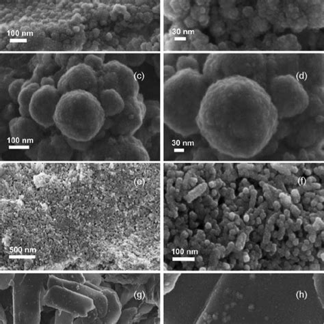 Structure of the composite particles used in the kinetic studies ...