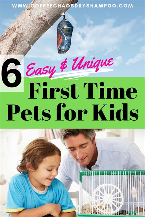 6 easy to care for pets that both moms and kids will love. | Low ...