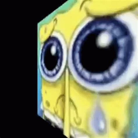 Crying spongebob gif Blank Template - Imgflip