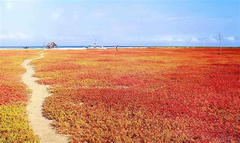 What makes Bohol Island the Philippines’ first UNESCO global geopark?