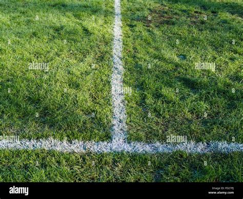 Rugby pitch markings. Intersection of touchline and try line Stock Photo - Alamy