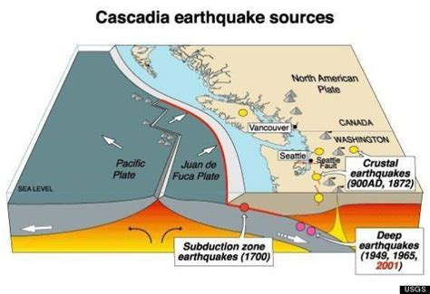 Cascadia Subduction Zone Tremors Could Foretell Larger Earthquakes ...