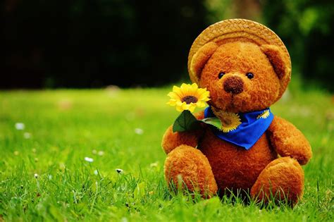 Wallpapers HD Teddy Bear - Wallpaper Cave