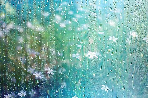 Premium Photo | Summer rain wet glass / abstract background landscape ...