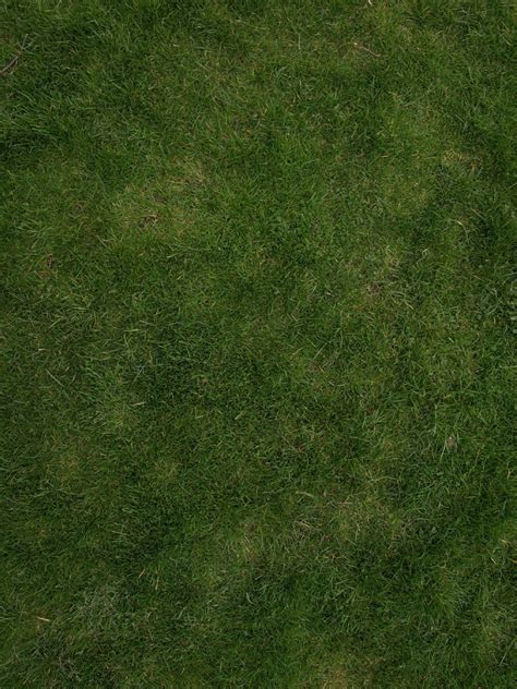 Click to Close | Grass textures, Grass pattern, Photoshop textures