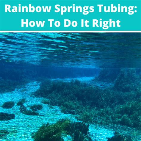 Rainbow Springs Florida Tubing: How To Do It Right - Shaggy Muffins