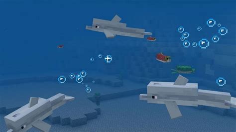 How to increase the trust of dolphins in Minecraft