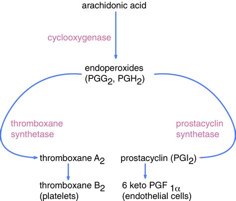 Thromboxane - wikidoc