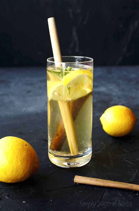 Refreshing Lemon Cinnamon Water Recipe - SimplyBeyondHerbs