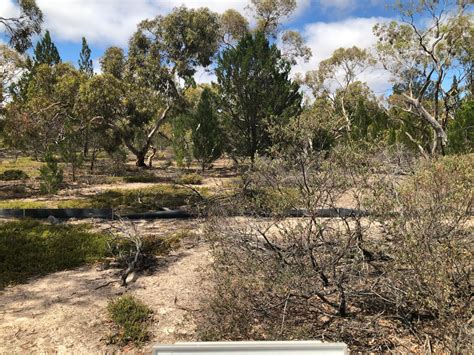 Australian Wildlife Conservancy – Australian Acoustic Observatory | A20