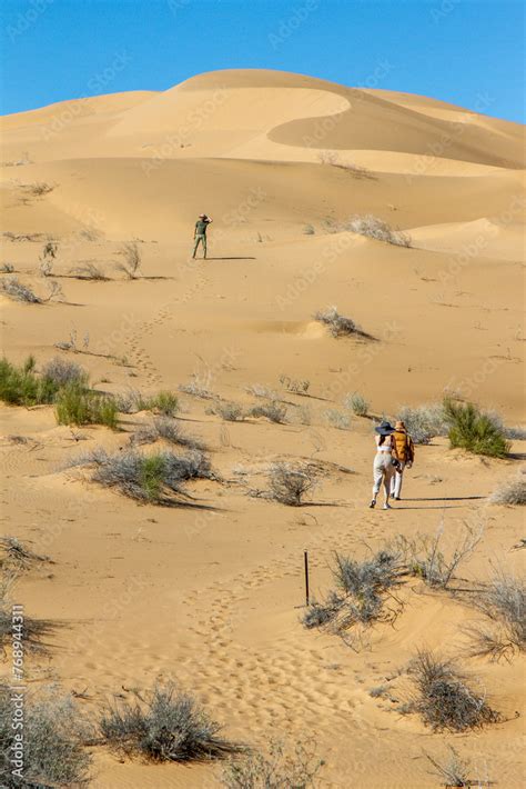 People exploring the dunes in the Sonora desert. Gran Desierto de Altar ...