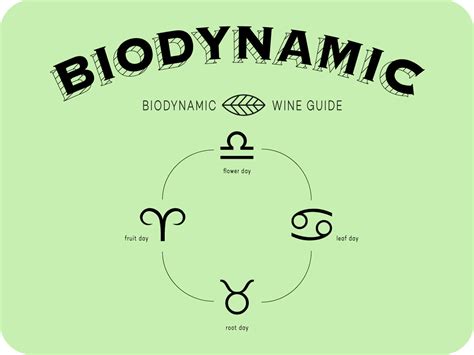 Getting Into Biodynamic Wine | Wine Folly