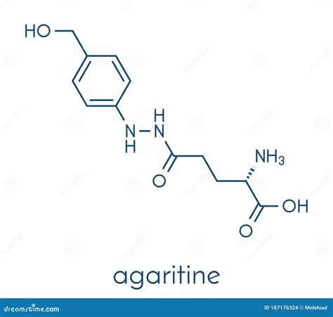 Agaritine Mushroom Toxin Molecule. Skeletal Formula. Stock Vector - Illustration of structure ...