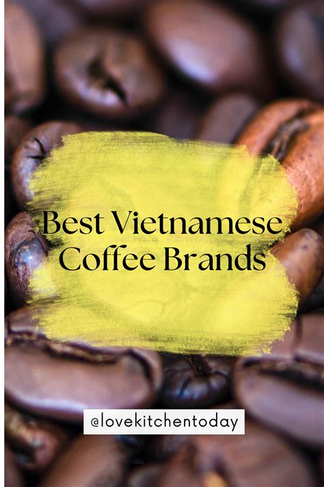 The Best Vietnamese Coffee Brands: A Guide for Coffee Lovers