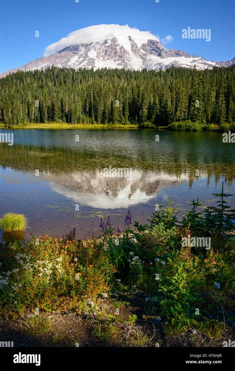 Mount Rainier National Park Stock Photo - Alamy