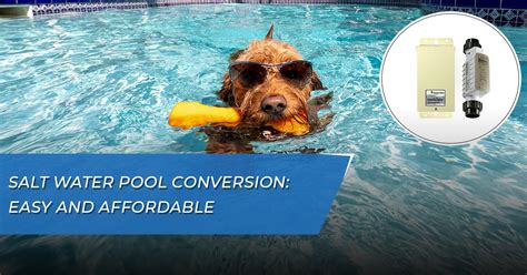 Salt Water Conversion | Convert Pool to Salt Water | GPS Pools