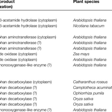 (PDF) The pathway of auxin biosynthesis in plants