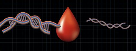 New portable blood test kit is cheap, fast, and accurate