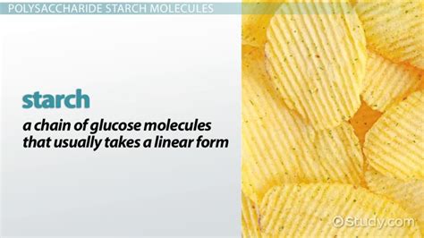 Polysaccharide | Definition, Types & Examples - Lesson | Study.com