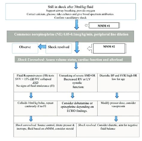 a: Treatment protocol for limited fluid and early norepinephrine ...