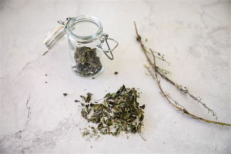 How to Dry Herbs (4 Easy Ways)