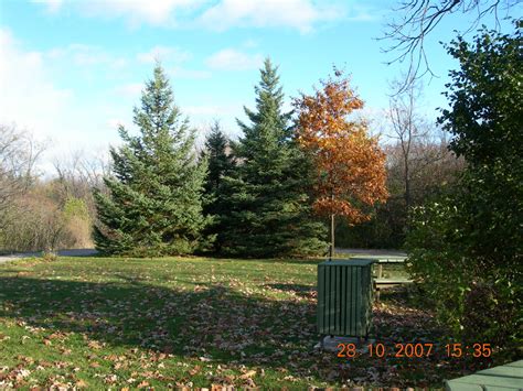 Bois-de-l'Île-Bizard Nature Park - Canada, Quebec - photo essay - Travel Moments In Time ...