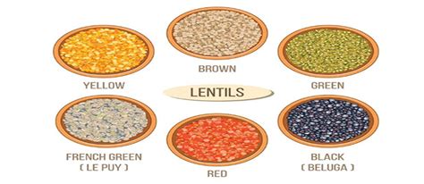 Verities of Lentils: Red Lentils, Green Lentils, Brown and Black Lentils