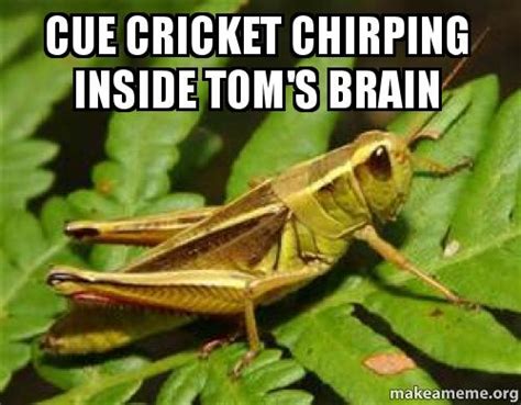 CUE CRICKET CHIRPING INSIDE TOM'S BRAIN | Make a Meme