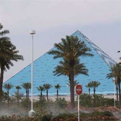 Galveston, TX. Aquarium. | Moody gardens, Galveston, Favorite places