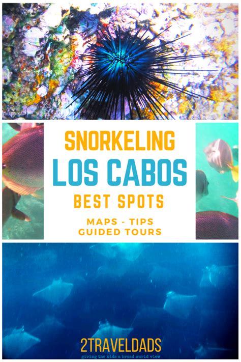 Cabo Snorkeling Spots pin 2 - 2TravelDads