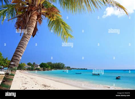 Caribbean, Barbados, Oistins, Miami Beach Stock Photo - Alamy