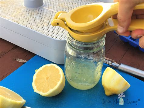 How to Preserve Lemon Juice & Peels - Little House Living