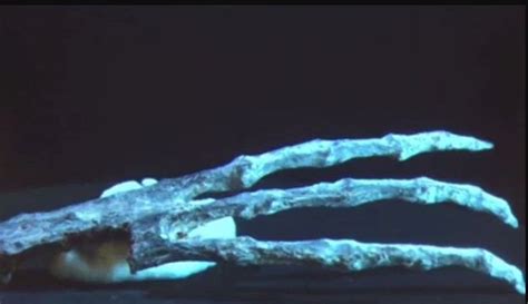 3-fingered Nazca mummies are of extra-terrestrial origin, says Russian ...