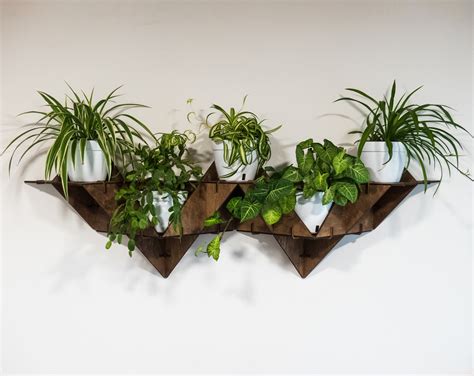 Hanging Plant Shelf Floating Shelf Wall Planter Indoor Art | Etsy