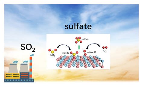 A review on the heterogeneous oxidation of SO2 on solid atmospheric ...