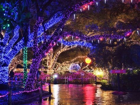 Zoo Lights at the Houston Zoo | Zoo lights, Houston zoo, Lights