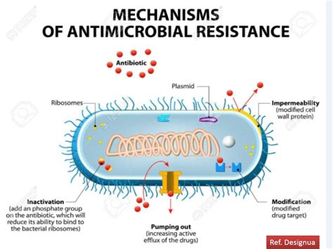 Antimicrobial Resistance: Introduction, types and mechanism