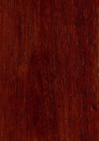 Burmese Rosewood | The Wood Database - Lumber Identification (Hardwood)