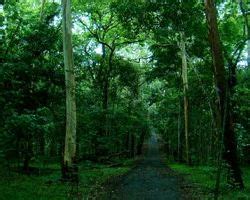 Kerala Eco Tourism in Thrissur | ID: 7623050973